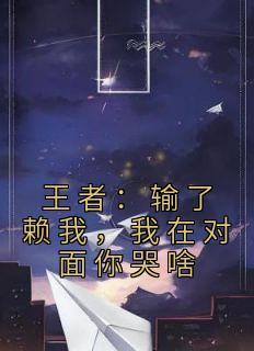 《王者：输了赖我，我在对面你哭啥》小说大结局在线阅读 林宇刘菲菲小说全文