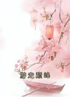 《游走巅峰》全文免费章节在线试读 南衣姜诗琪小说