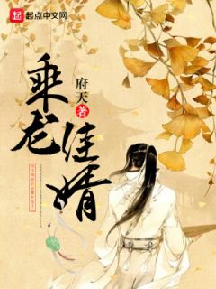 《乘龙佳婿》小说完结版免费阅读 张寿朱莹小说全文