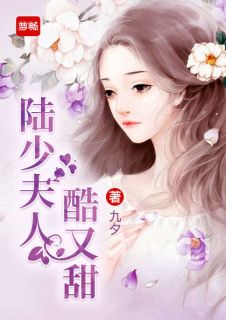 《陆少夫人酷又甜》小说最新章节免费阅读（精彩章节未删节）
