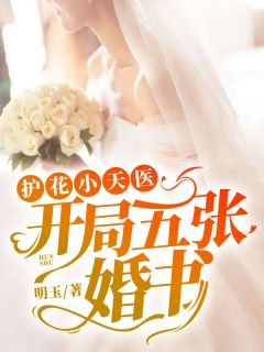 《护花小天医：开局五张婚书》小说全文在线阅读 叶凡楚梦瑶是什么小说