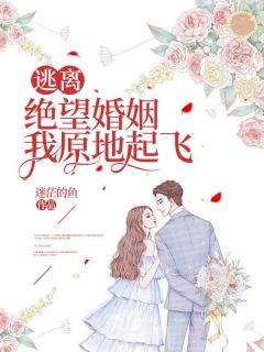 《逃离绝望婚姻，我原地起飞》小说全文在线试读 小哲张林小说全文