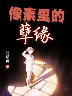 《像素里的孽缘》小说大结局免费阅读 韩元元魏宁小说阅读