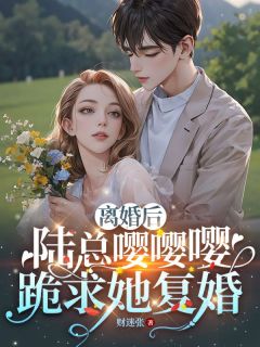 主角是沈曦陆铮的小说 《离婚后，陆总嘤嘤嘤跪求她复婚》 全文在线阅读