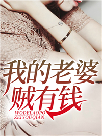 我的豪门女友陈锦霖韩雪莹小说精彩章节篇免费试读