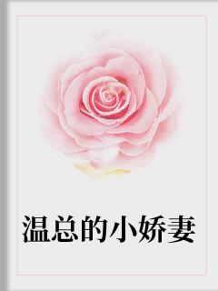《温总的小娇妻》小说章节列表免费试读 蓝瑾恩温宸瀚小说全文